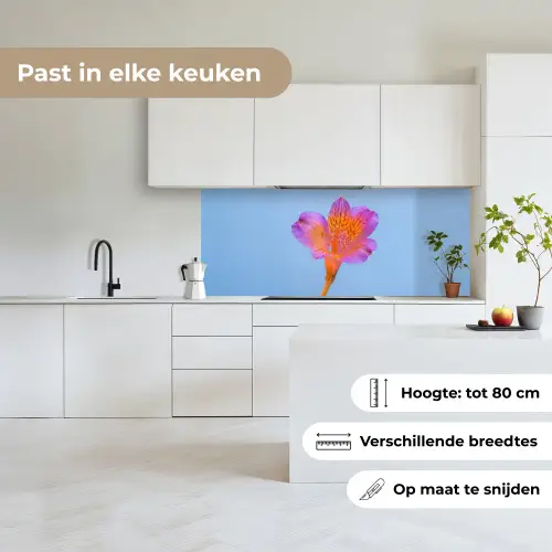 Bloem - Detail - Kleurrijk keuken achterwand 2 middel -sfeer4_NL