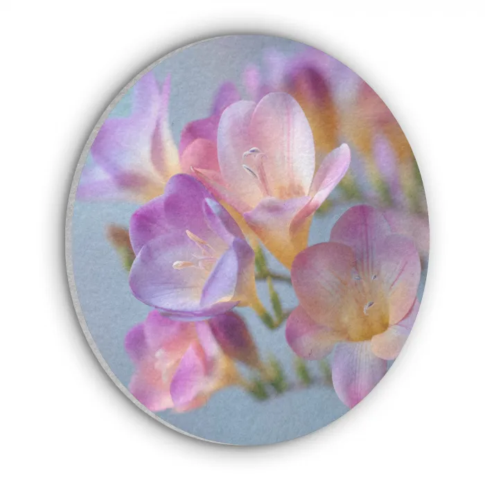 Bloemen - Paars - Overloop - Meeldraden Akoestische PET Vilt - Rond klein -3d