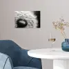 Paardenbloem - Zwart - Wit poster papier klein -sfeer3