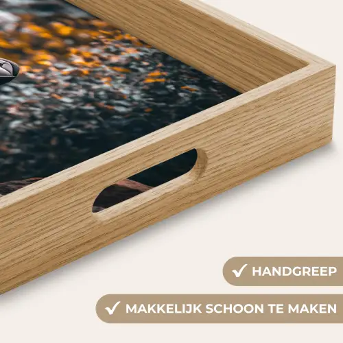 Papegaai - Vogel - Rots - Wit Dienblad Rechthoek middel -USP_HandgreepNL