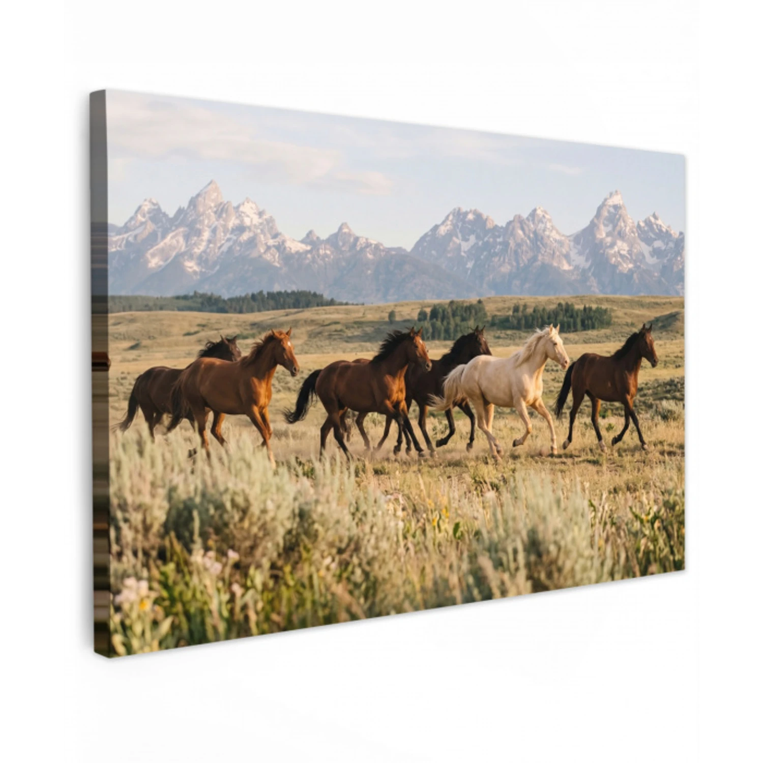 Paarden - Kudde - Bergen - Vrijheid - Wild canvas 2cm klein -z3d