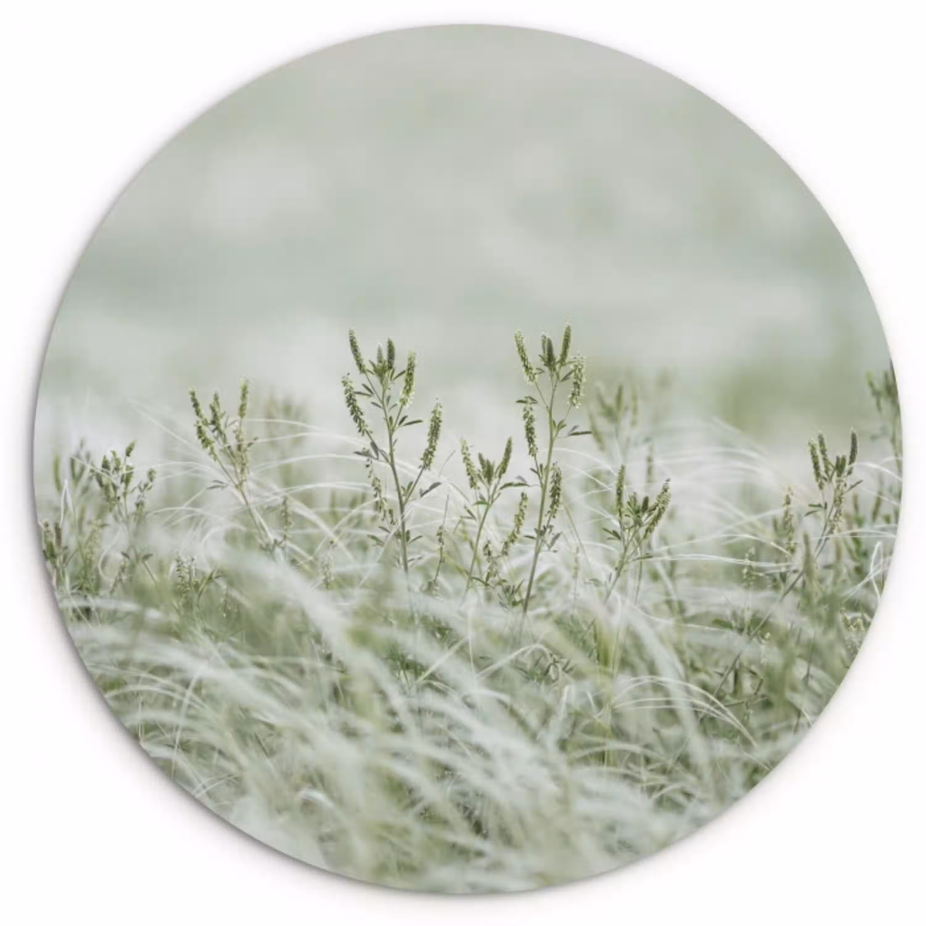 Grassen - Minimalistisch - Groen Wandcirkel kunststof plaat 5mm dik klein -3d