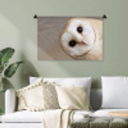 Uil - Bruin - Wit Wandkleed katoen klein -sfeer7