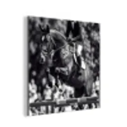 Springen - Paard - Zwart - Wit aluminium wit klein -3d