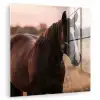 Paard - Zonsondergang - Bruin plexiglas 5mm klein -zzzproduct_nieuw