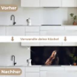 Roofvogel - Buizerd - Bruin keuken achterwand 2 middel -voor-na_DE