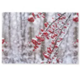 Bessen - Takken - Sneeuw - Winter - Kleurrijk Deurmat klein -zkaufland3d