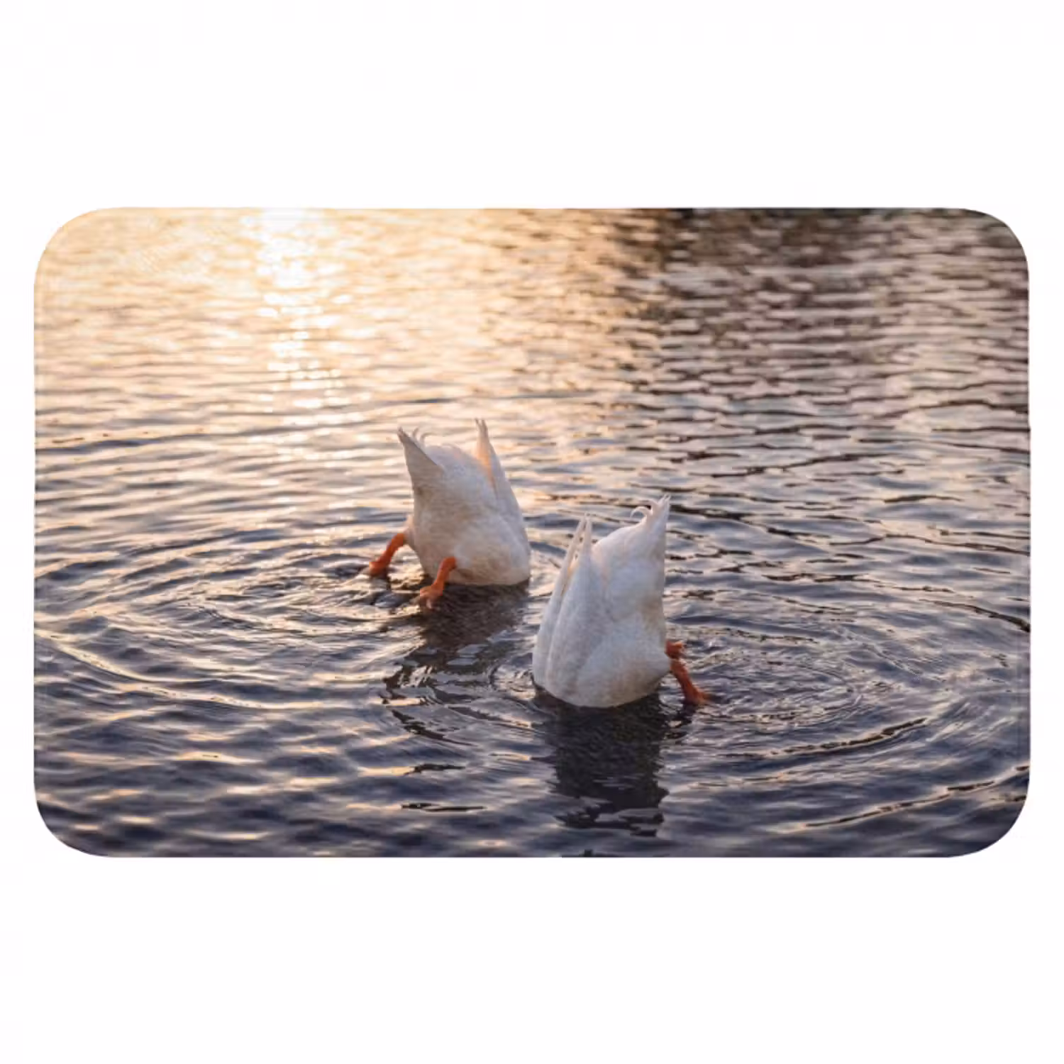Badematte - Enten - Wasser - Natur