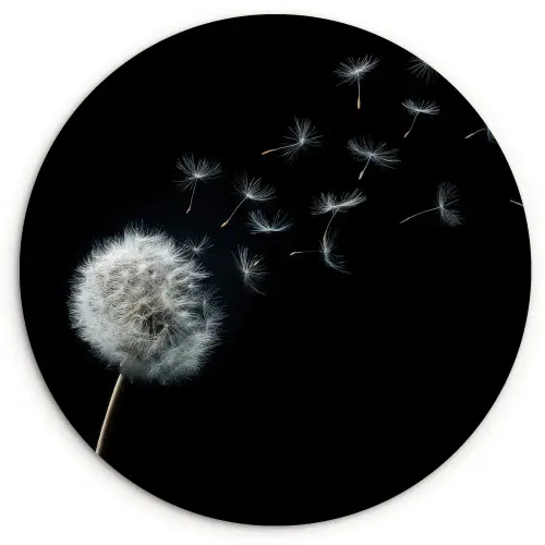 Paardenbloem - Zwart - Natuur Wandcirkel kunststof plaat 5mm dik klein -3d