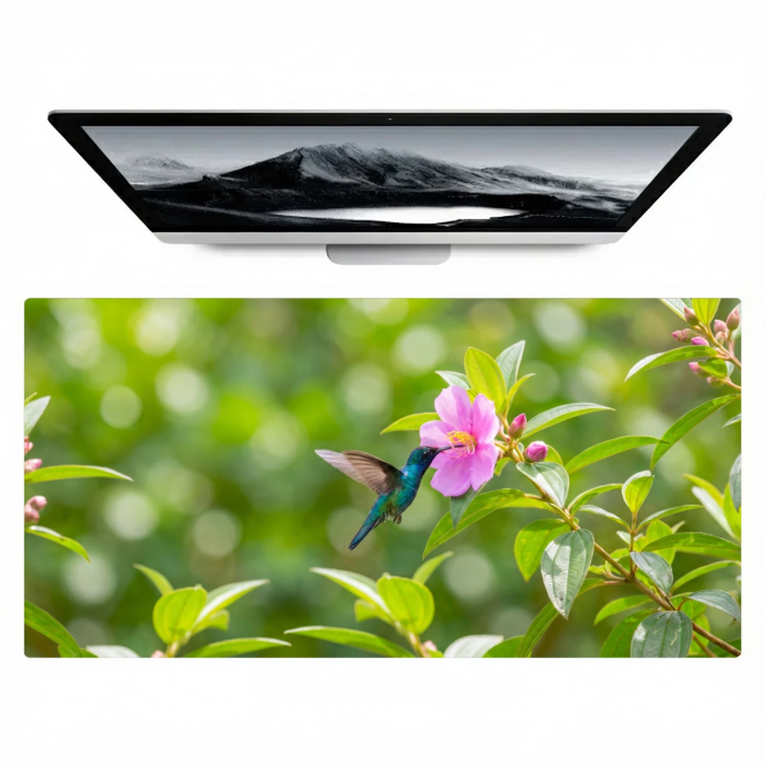 Kolibrie - Bloem - Natuur - Groen Muismat XXL klein -zzz3d