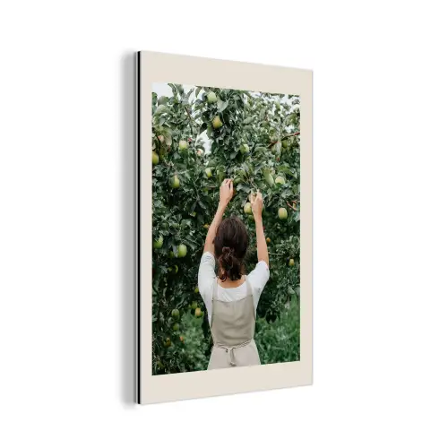 Boom - Appels - Plukken - Natuur aluminium wit klein -3d
