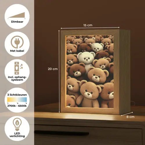 Teddybeer - Knuffel - Bruin - Beer - Jongens - Meisjes Light Box met kabel klein -USP_NL