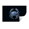 Krab - Delfts blauw - Dieren Muursticker klein -3d