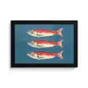 Vissen - Rood - Blauw fotolijst zwart zonder passe partout klein -3d