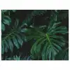 Bladeren - Tropisch - Monstera - Jungle poster papier klein -3d