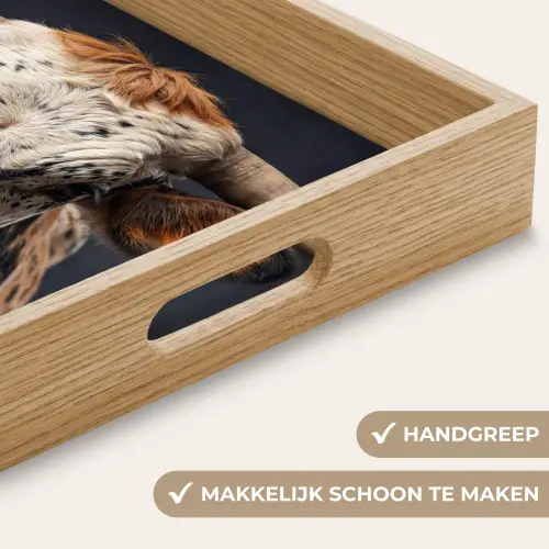 Stier - Kleurrijk - Hoorns Dienblad Rechthoek middel -USP_HandgreepNL