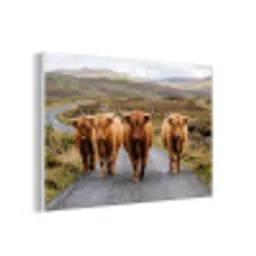 Schotse Hooglanders - Weg - Landschap - Kudde forex 5mm xxl -3d