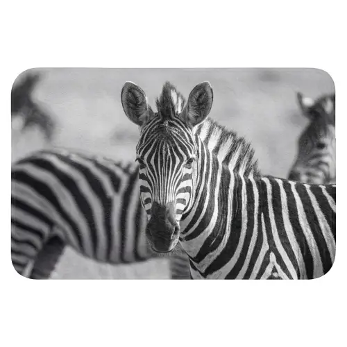 Zebra's - Zwart - Wit WCmat klein -3d