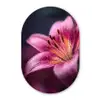Roze - lelie - Dauwdruppels Wandcirkel Ovaal Forex klein -3d