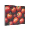 Groente - Rood - Tomaten PET vilt klein -3d