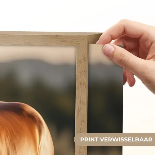 Paard - Bruin - Natuur - Weiland - Dier Light Box met batterij (Wandlamp) middel -USP_websiteprintNL