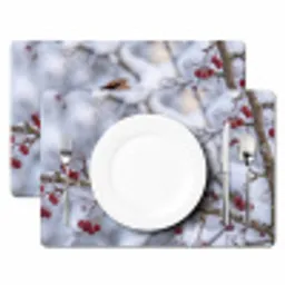 Pestvogel - Bessen - Winter - Natuur Placemat vinyl groot -zzsfeer2_Kitchenyeah-website