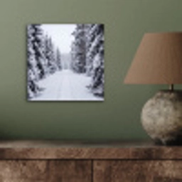 Bos - Winter - Sneeuw - Pad - Natuur aluminium wit klein -sfeer2