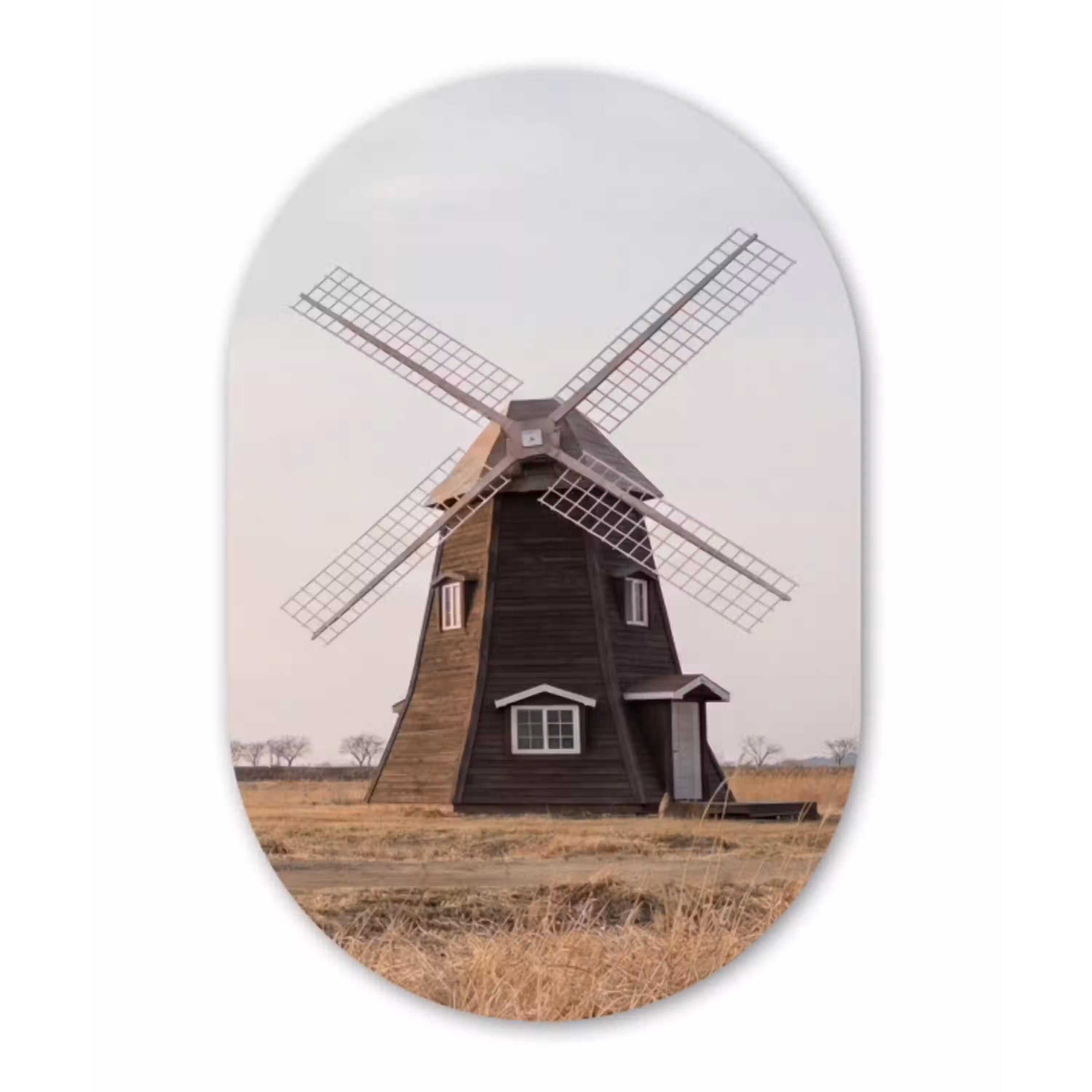 Windmolens - Landschap - Veld Wandcirkel Ovaal Aluminium middel -3d