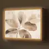 Gedroogde plant - Natuur - Bruin - Planten Light Box met batterij (Wandlamp) middel -z3d_website