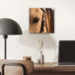Paard - Oog - Bruin aluminium wit klein -sfeer5
