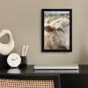 Schaap - Oog - Wit fotolijst zwart zonder passe partout klein -sfeer1