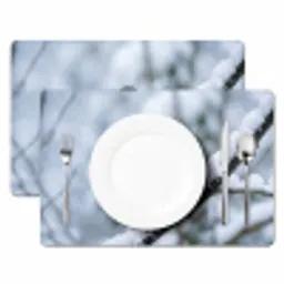 Roodborstje - Tak - Sneeuw - Winter - Levendig Placemat vinyl groot -zzsfeer2_Kitchenyeah-website