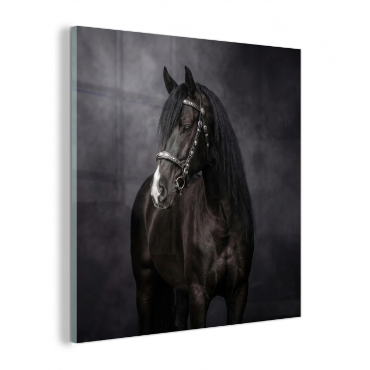 Portret - Paard - Zwart plexiglas 5mm klein -z3d