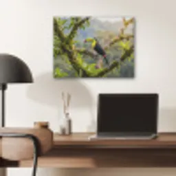 Toekan - Jungle - Natuur - Kleurrijk PET vilt klein -sfeer5