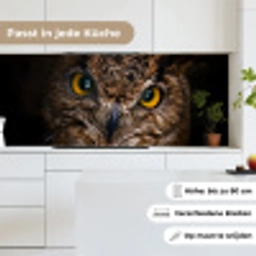 Uil - Dier - Oranje keuken achterwand 2 middel -sfeer4_DE