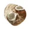 Kokosnoot - Water - Beige - Spetters Wandcirkel Organisch Aluminium middel -3d