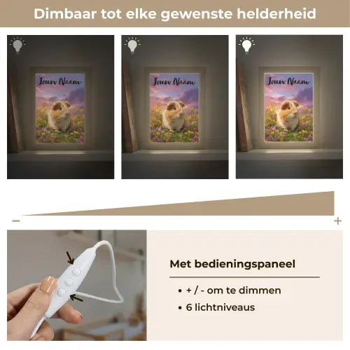 Cavia - Kleurrijk - Bloemen Light Box met kabel (Kinderlampje) klein -USP_dimbaarNL