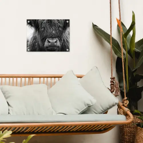 Schotse hooglander - Zwart - Wit - Sneeuwvlokken tuinposter los doek klein -sfeer7