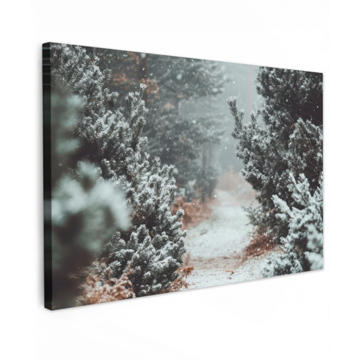 Bos - Winter - Bomen - Natuur - Pad - Sneeuw Tuinposter op houten frame 2 cm dik klein -3d