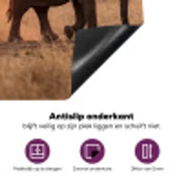 Olifanten - Savanne - Zonsondergang - Afrika - Warm Inductie beschermer vinyl 3mm klein -zzzzzzz-cc-onderkant
