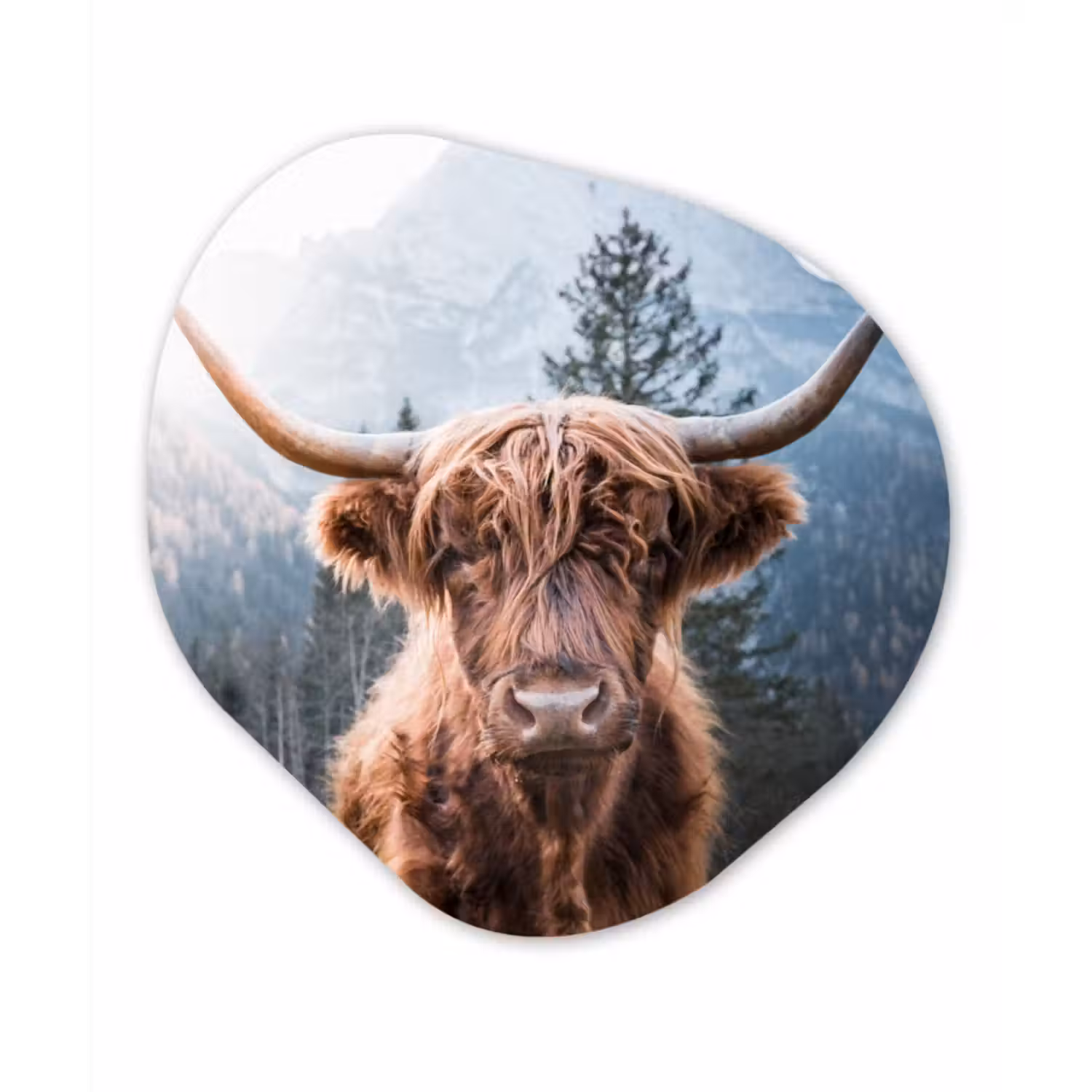 Organische Formen – Aluminium – Schotse hooglander - Berg - Landschap
