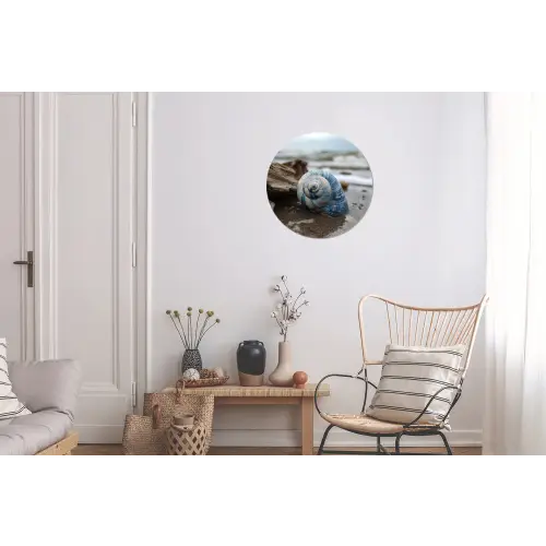 Schelp - Strand - Blauw - Zee Wandcirkel aluminium klein -woonkamer
