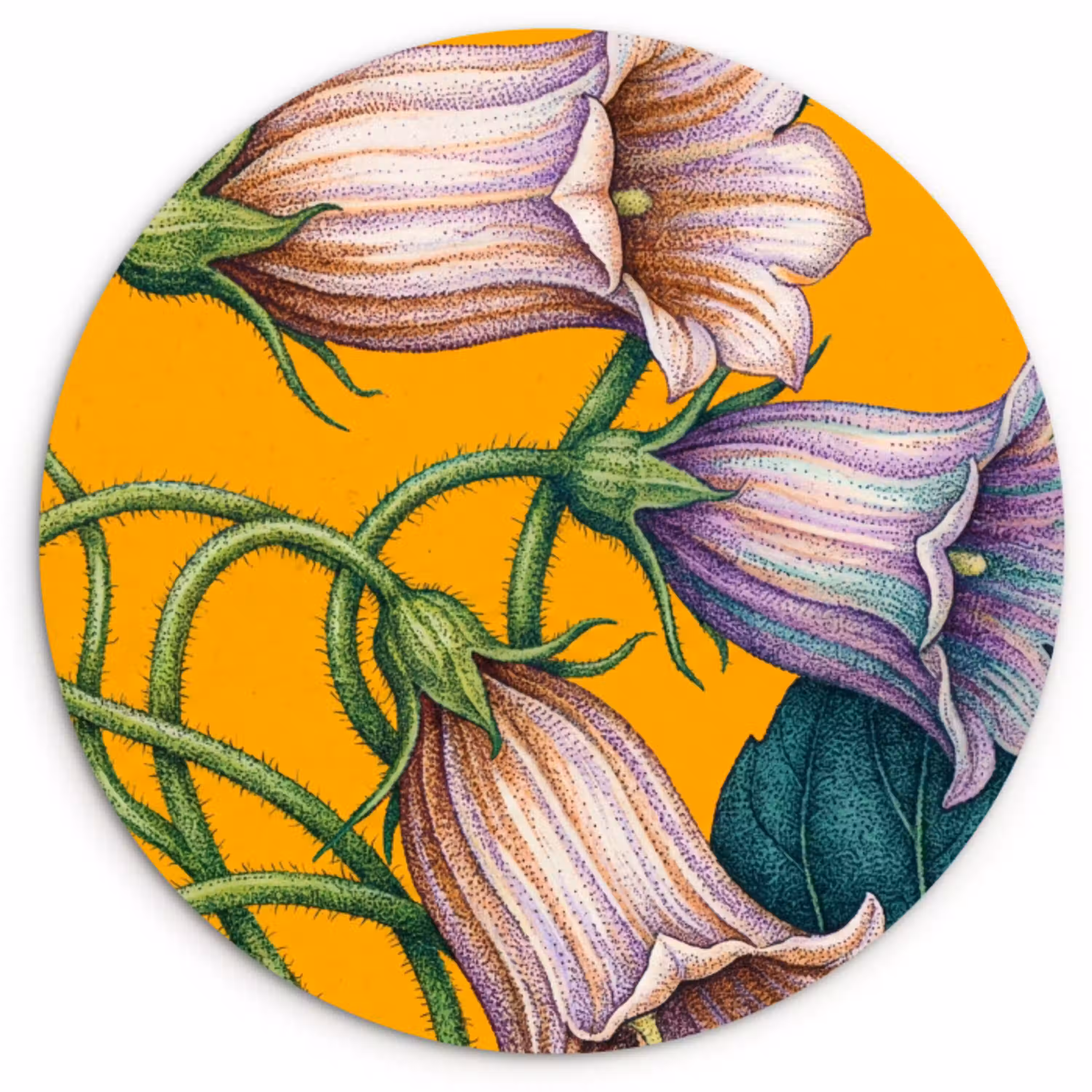 Bloemen - Botanisch - Geel Wandcirkel plexiglas klein -3d