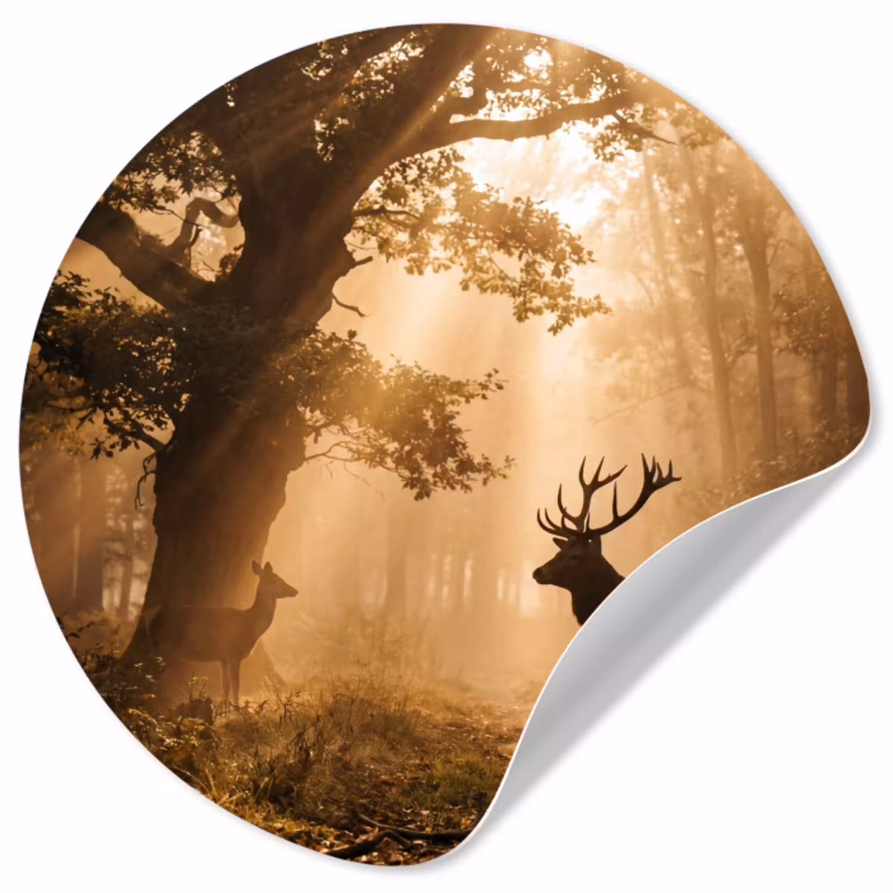 Hert - Bos - Mistig - Natuur - Goud Wandcirkel behangsticker klein -3d