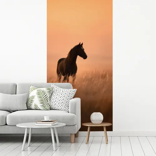 Paard - Grasveld - Zonsondergang fotobehang vinyl groot -woonkamer