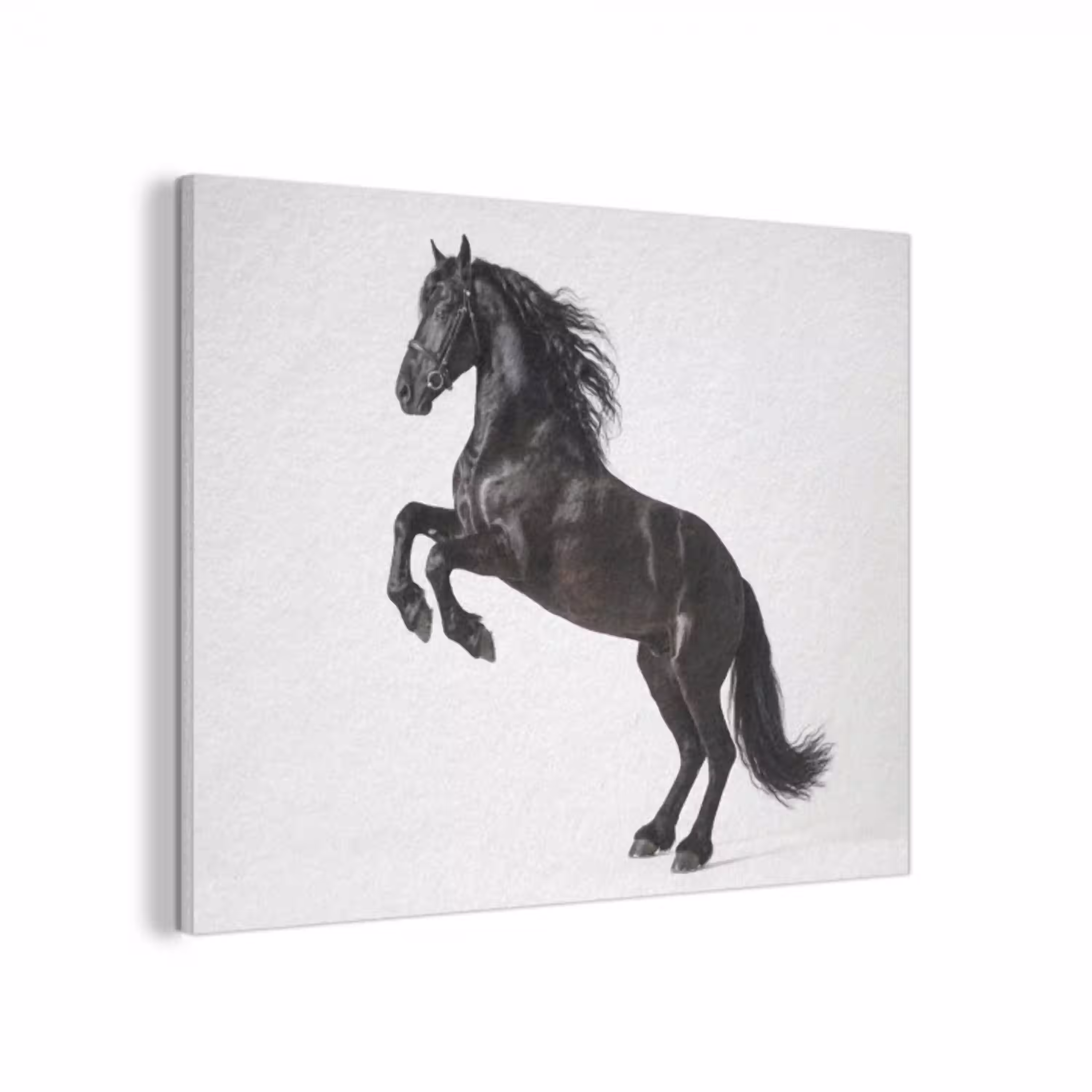 Zwart - Paard - Portret PET vilt klein -3d