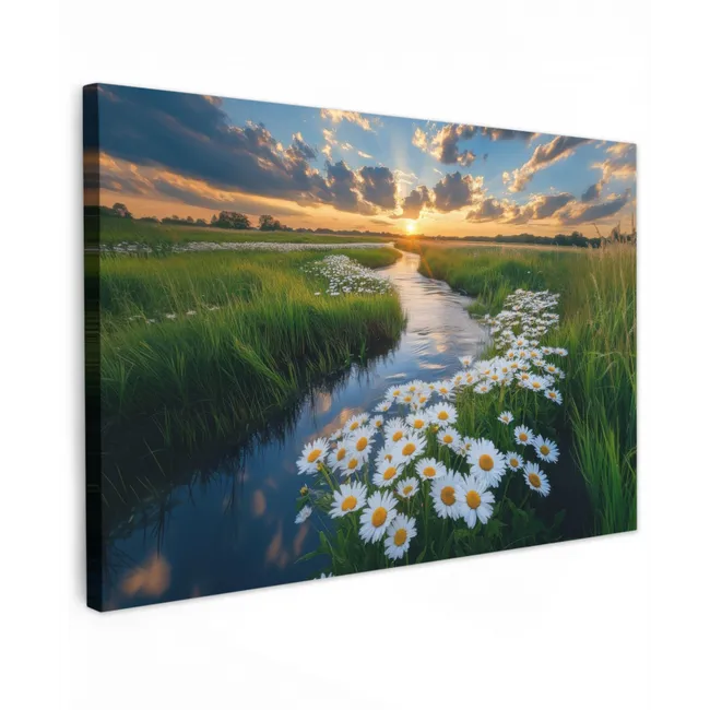 Outdoor Leinwand - Strom - Landschaft - Gänseblümchen