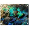 Veren - Pauwveren - Pauw - Blauw - Kunst tuinposter los doek klein -3d