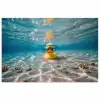 Duikbril - Eend - Water poster papier klein -3d
