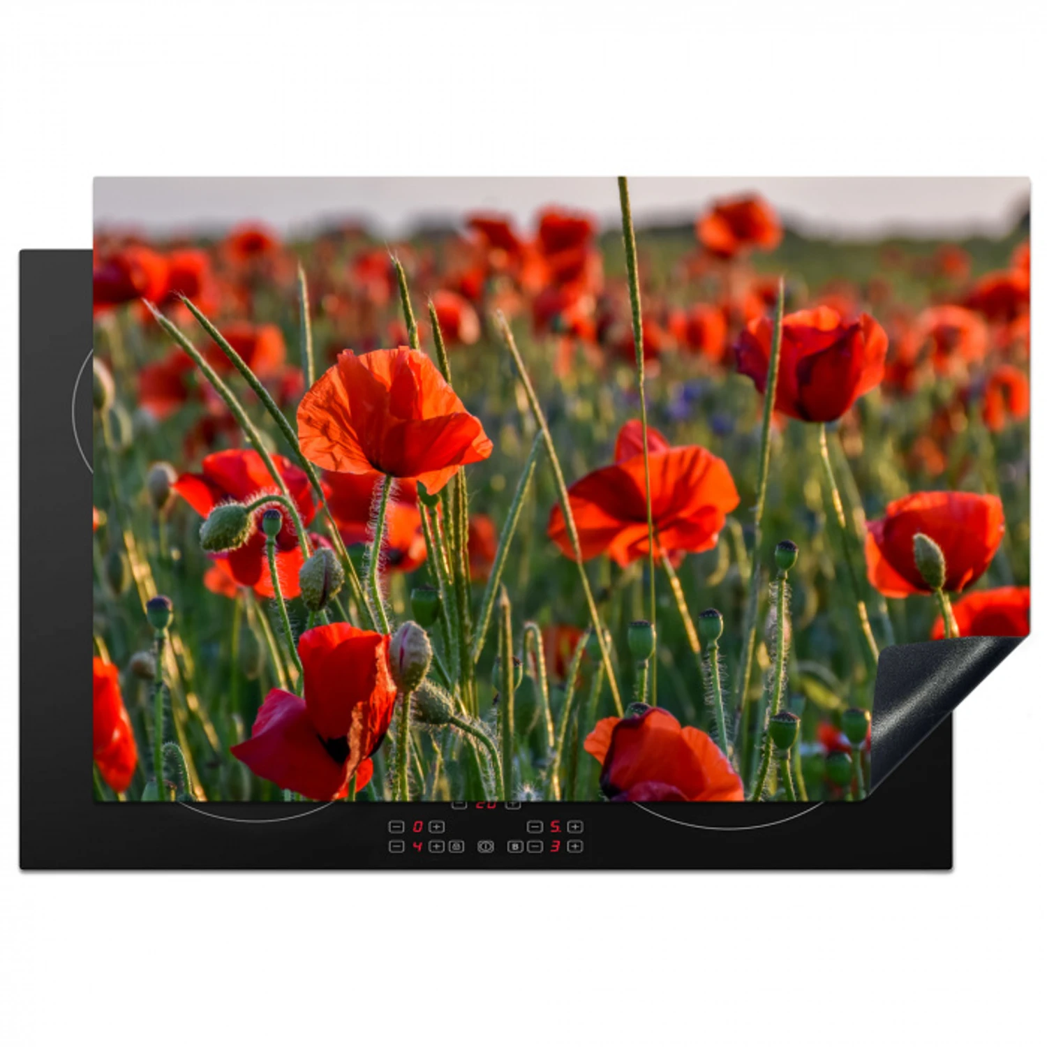 Klaprozen bij Zonsondergang Inductie beschermer vinyl 3mm klein -3d